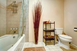 Stunning Bathroom Designs to Inspire Your Valrico Remodel