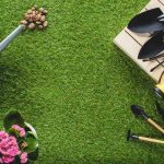 A Personal Journey with Brown Mulch: Transforming My Garden