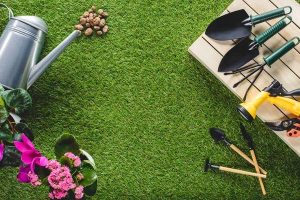 A Personal Journey with Brown Mulch: Transforming My Garden